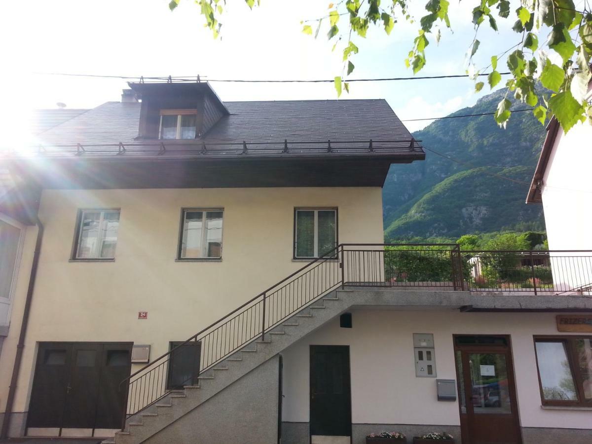 Apartma Center Apartment