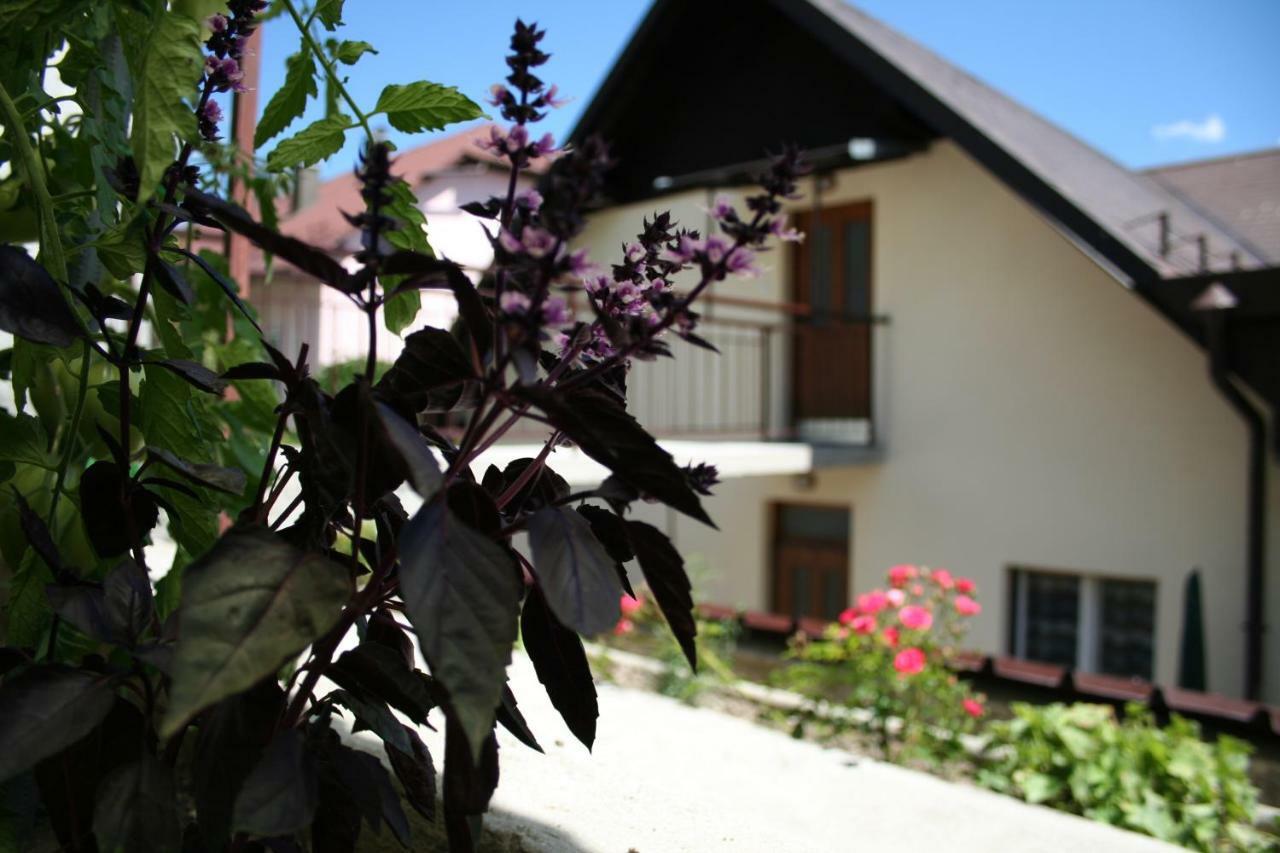 Apartment Apartma Center Bovec